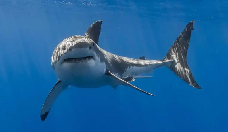 郑州市长沙艺术涂料有限公司轮播图3