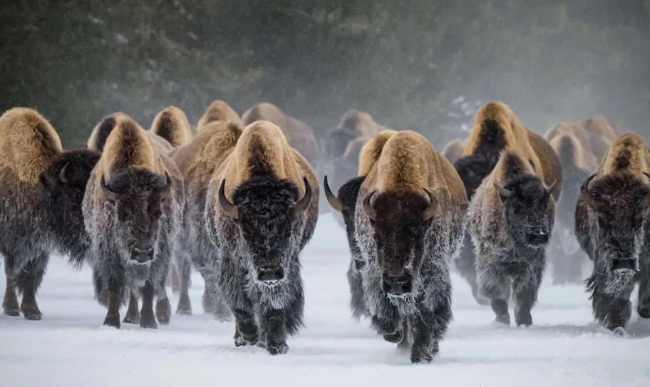 郑州市长沙艺术涂料有限公司轮播图1