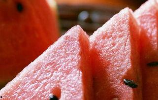 泗水百事通最新版 